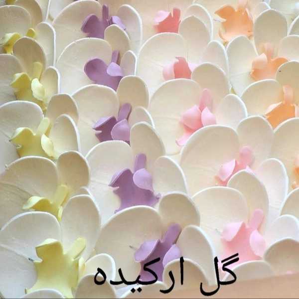 1717574718292.webp